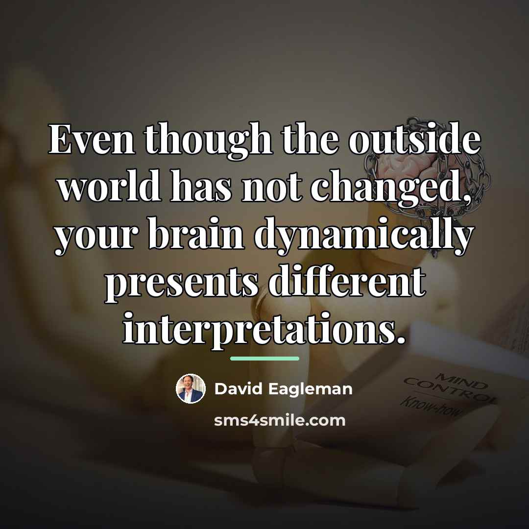 “Even though the outside world has not changed, your brain…” quote by David Eagleman