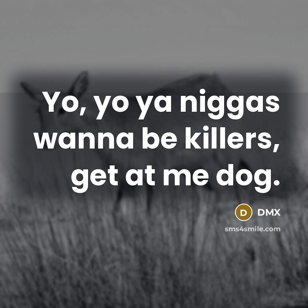 “Yo, yo ya niggas wanna be killers, get at me dog.” quote by Dmx