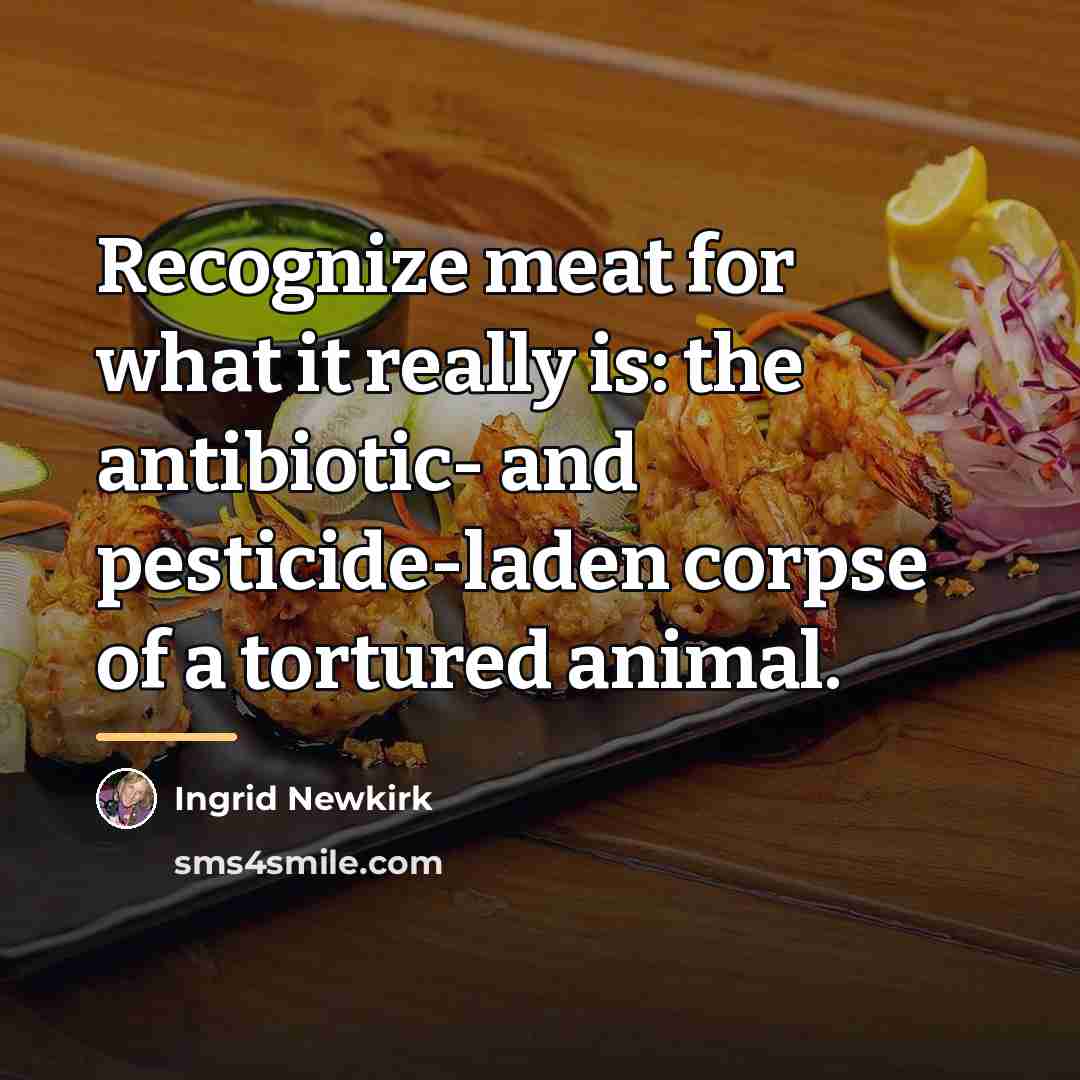 “Recognize meat for what it really is: the antibiotic- and…” quote by Ingrid Newkirk