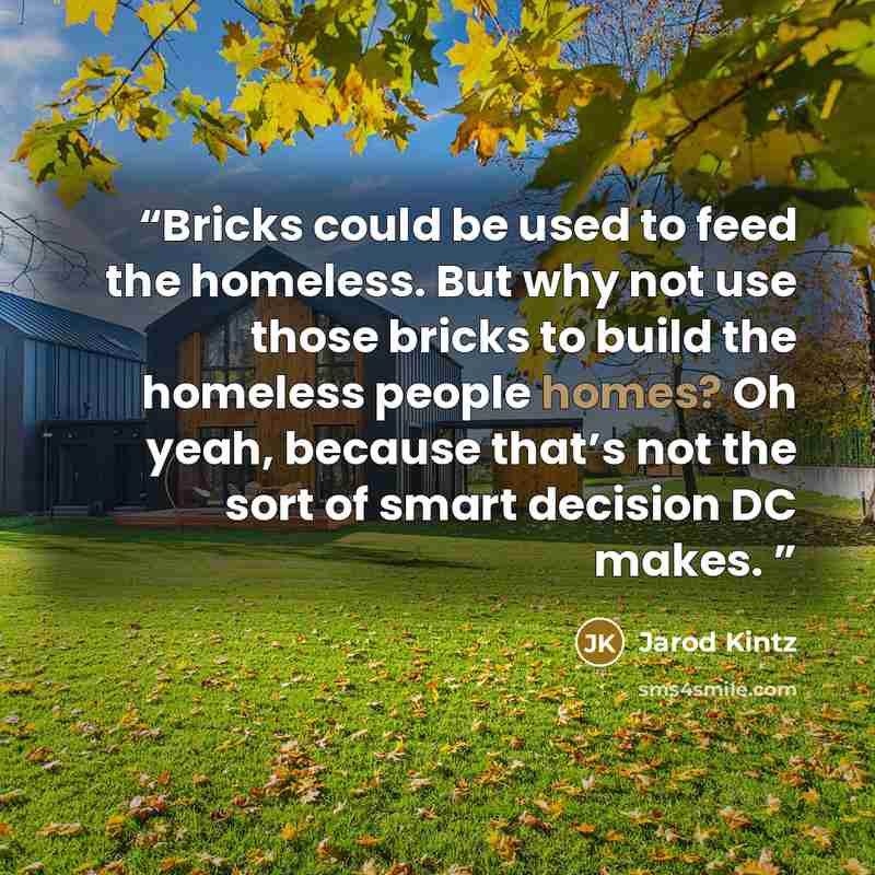 “Bricks could be used to feed the homeless. But why not use those bricks to build the homeless people homes? Oh yeah, because that’s not the sort of smart decision DC makes.” quote by Jarod Kintz