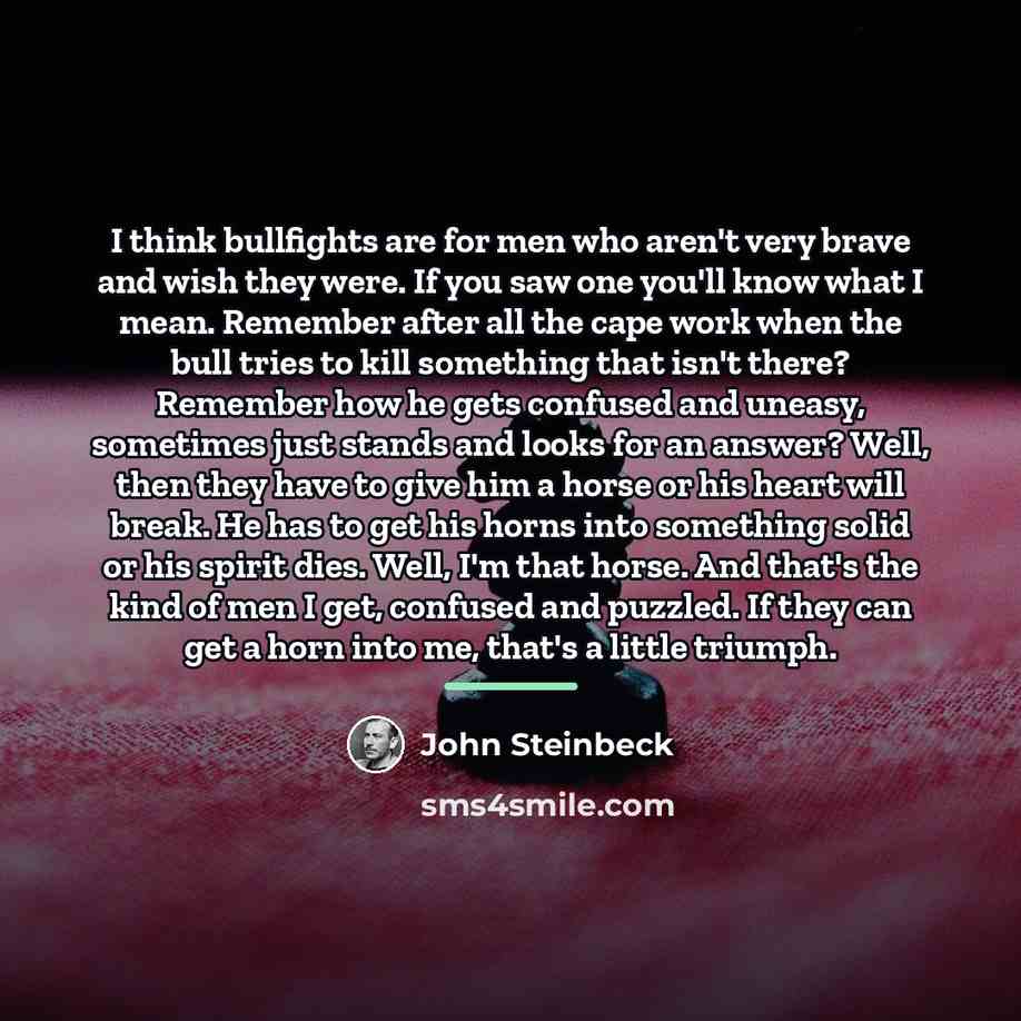 “I think bullfights are for men who aren't very brave…” quote by John Steinbeck