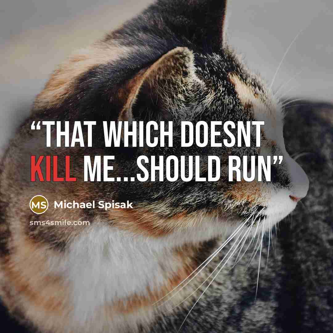 “that which doesnt kill me...should run” quote by Michael Spisak