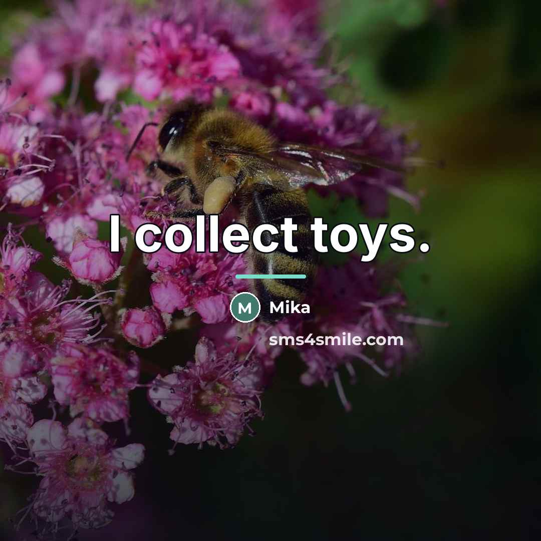 “I collect toys.…” quote by Mika