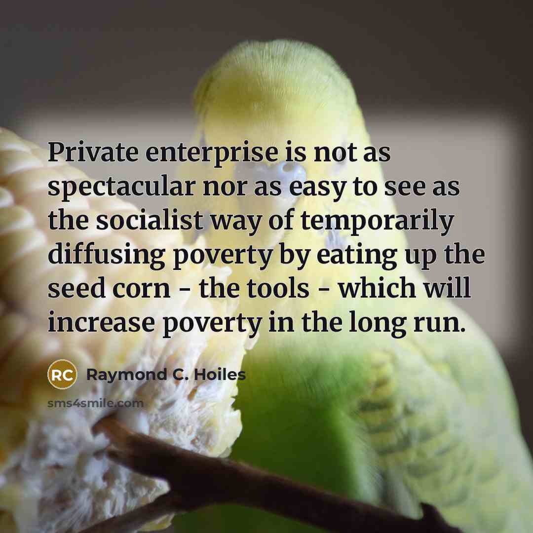 “Private enterprise is not as spectacular nor as easy to…” quote by Raymond C. Hoiles