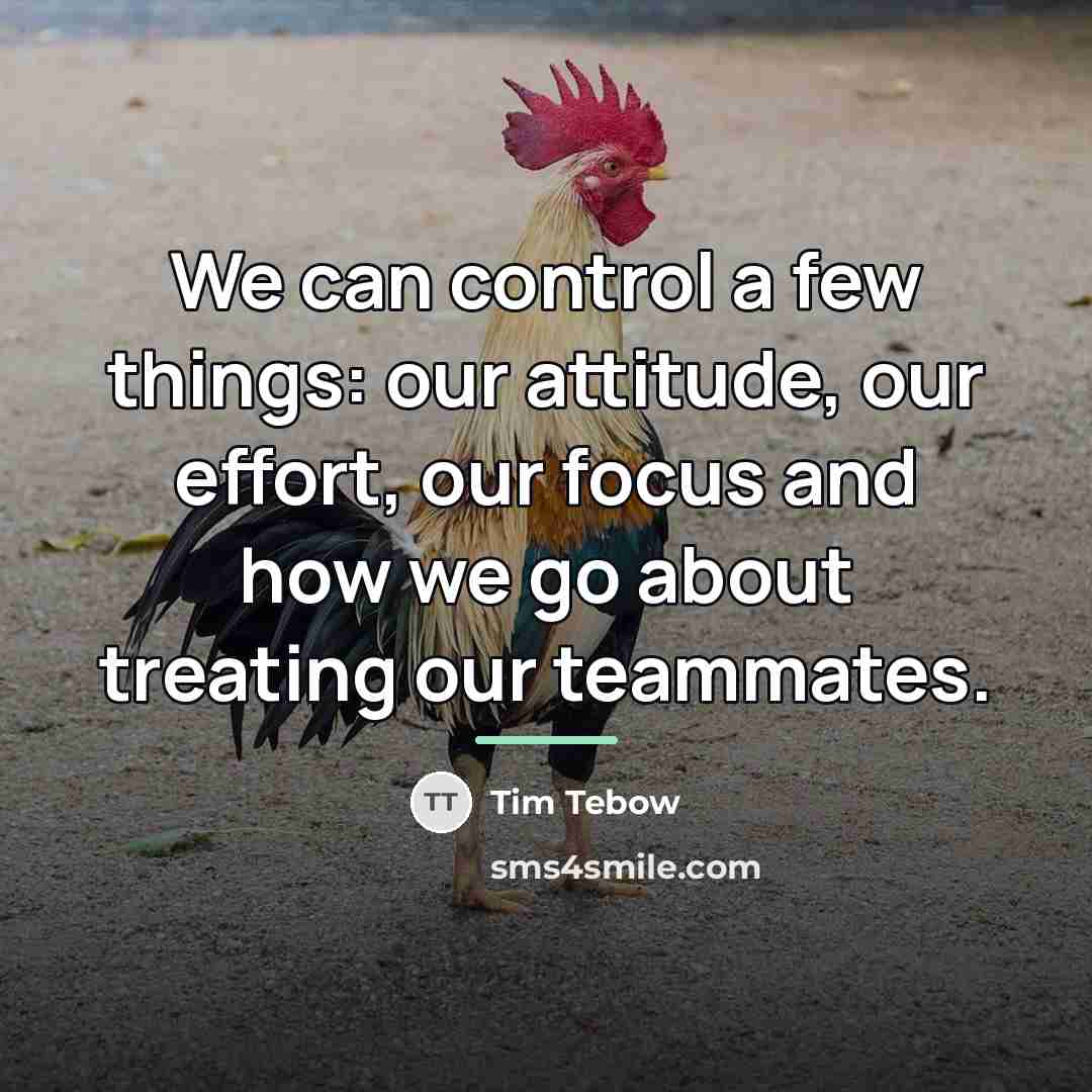 “We can control a few things: our attitude, our effort,…” quote by Tim Tebow