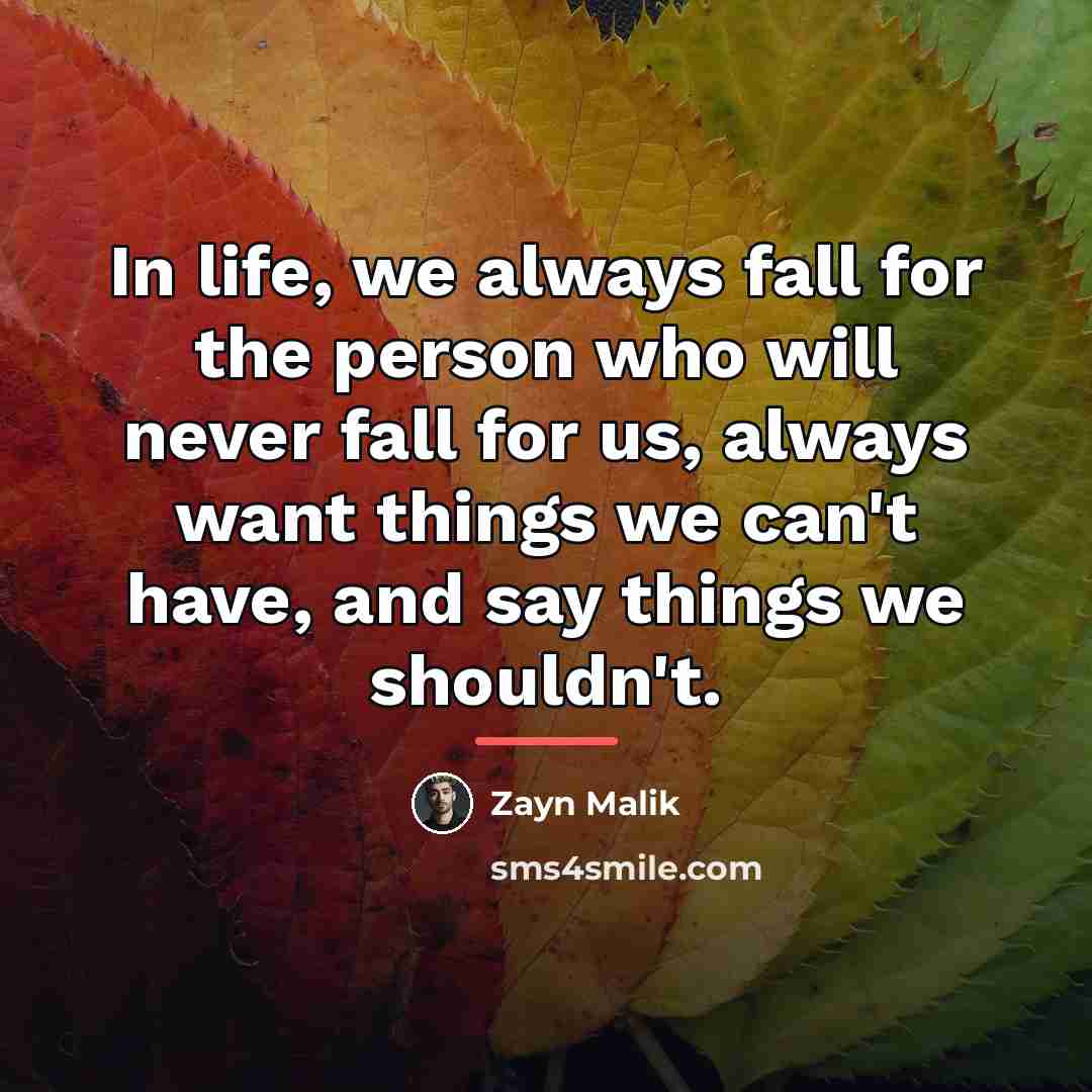 “In life, we always fall for the person who will…” quote by Zayn Malik
