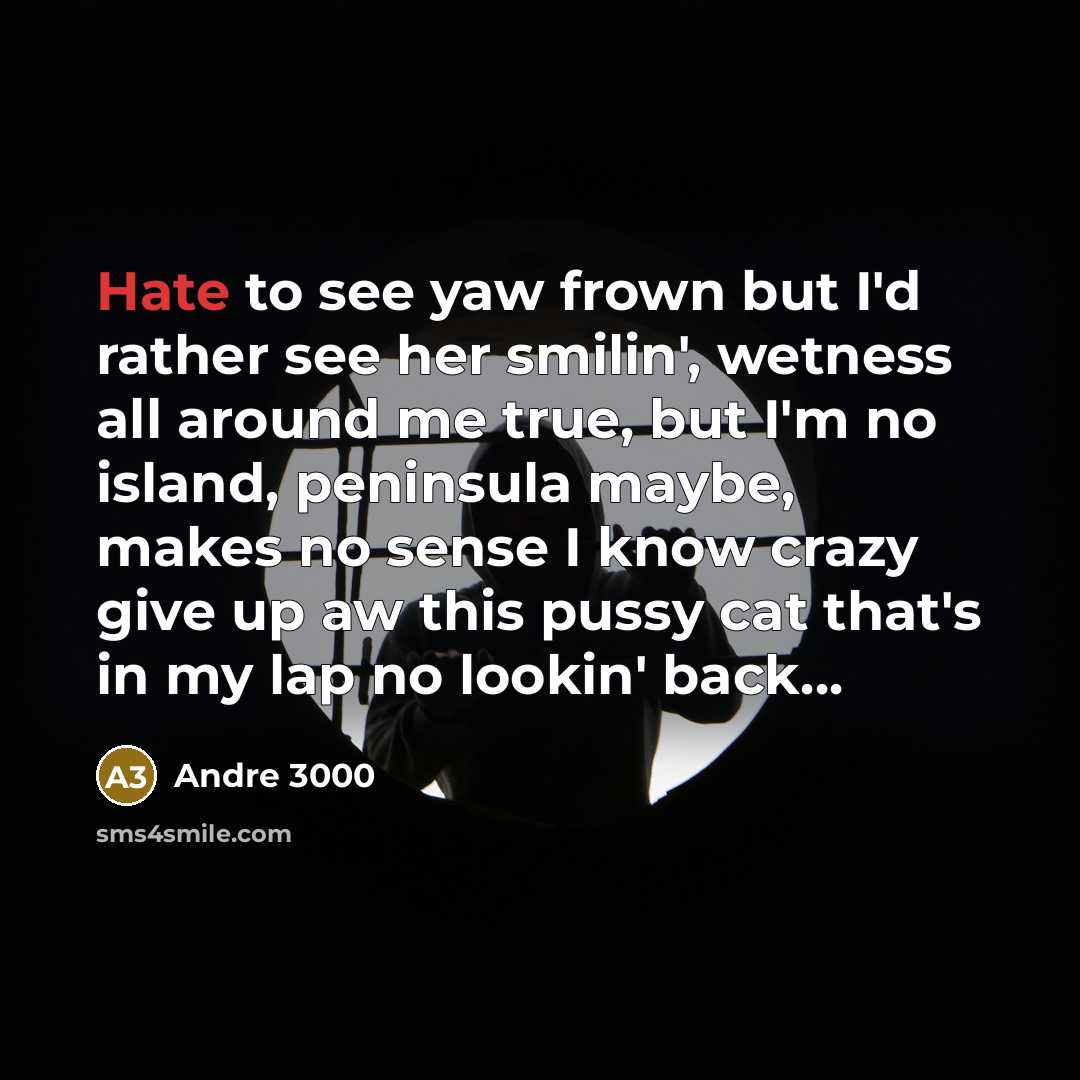 “Hate to see yaw frown but I'd rather see her…” quote by Andre 3000