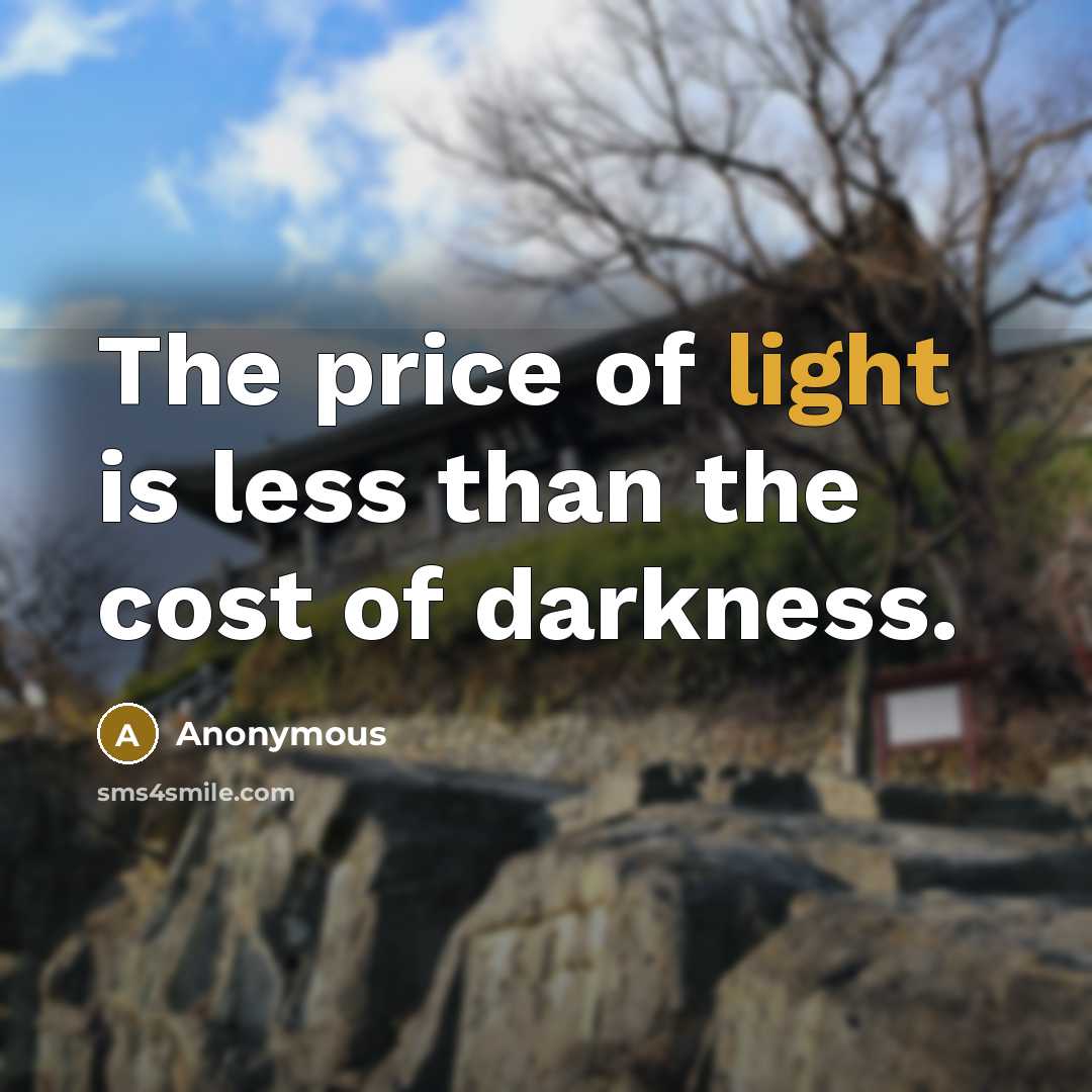“The price of light is less than the cost of darkness.” quote by Anonymous