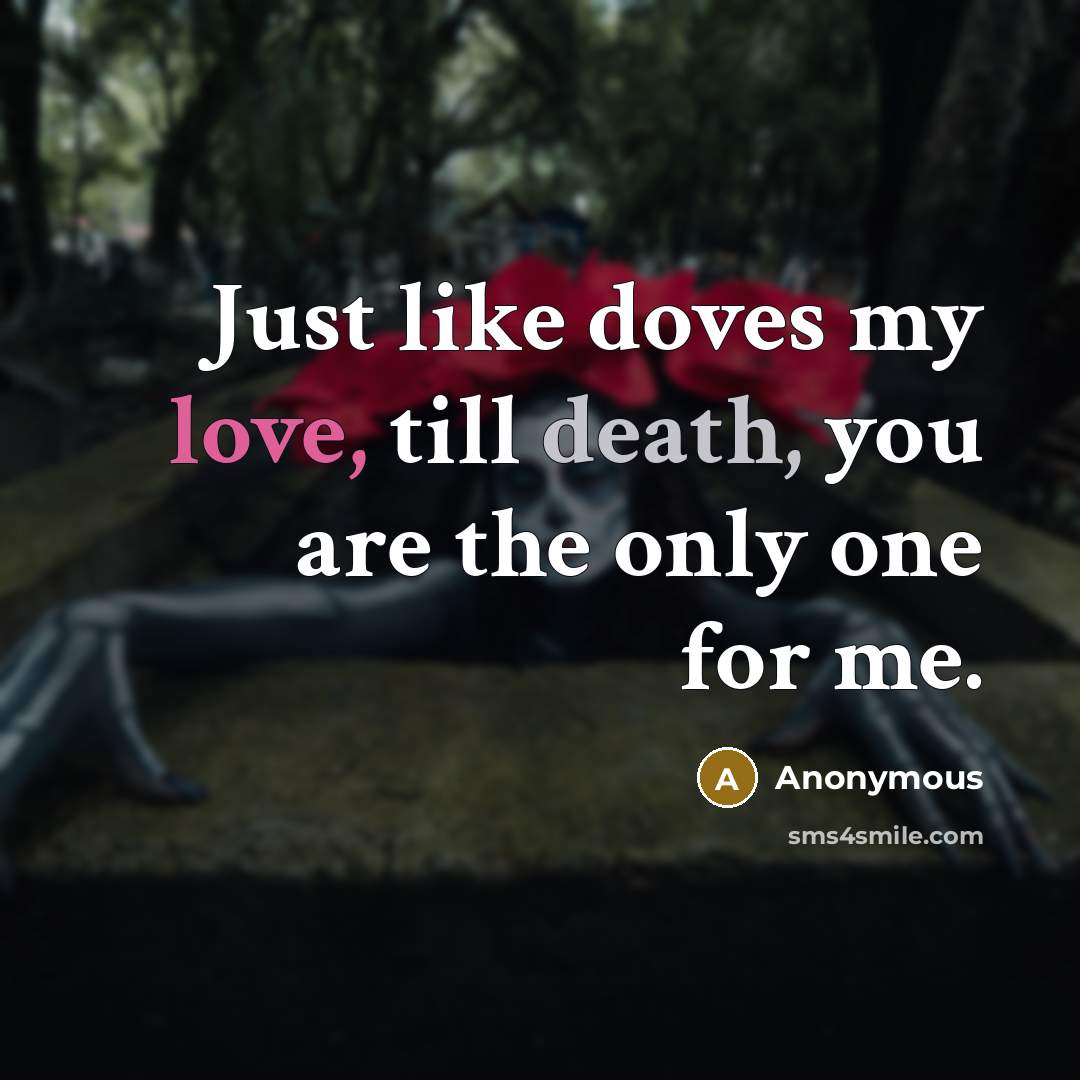 “Just like doves my love, till death, you are the…” quote by Anonymous