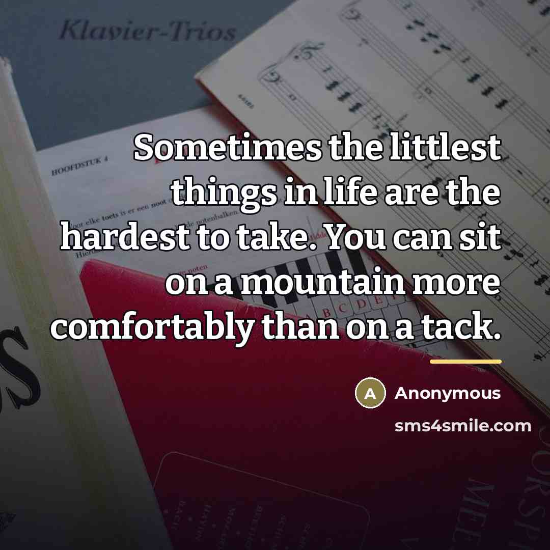 “Sometimes the littlest things in life are the hardest to…” quote by Anonymous