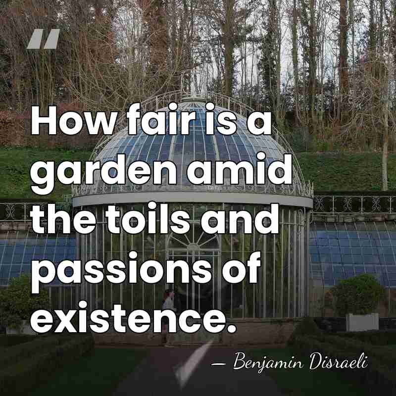 How fair is a garden amid the toils and passions of existence. - Benjamin Disraeli