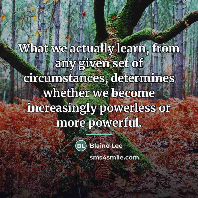 “What we actually learn, from any given set of circumstances,…” quote by Blaine Lee