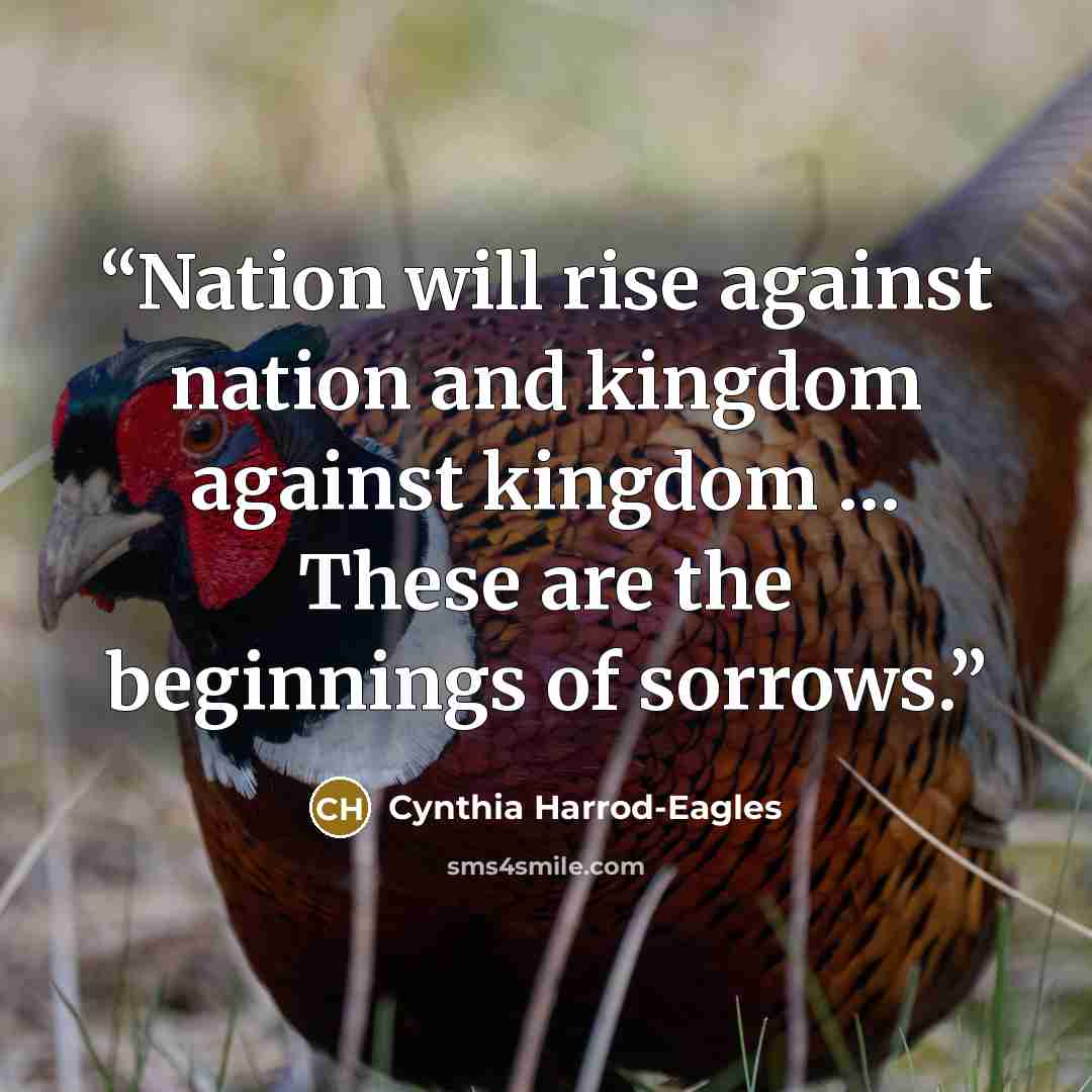 “Nation will rise against nation and kingdom against kingdom … These are the beginnings of sorrows.” quote by Cynthia Harrod-Eagles