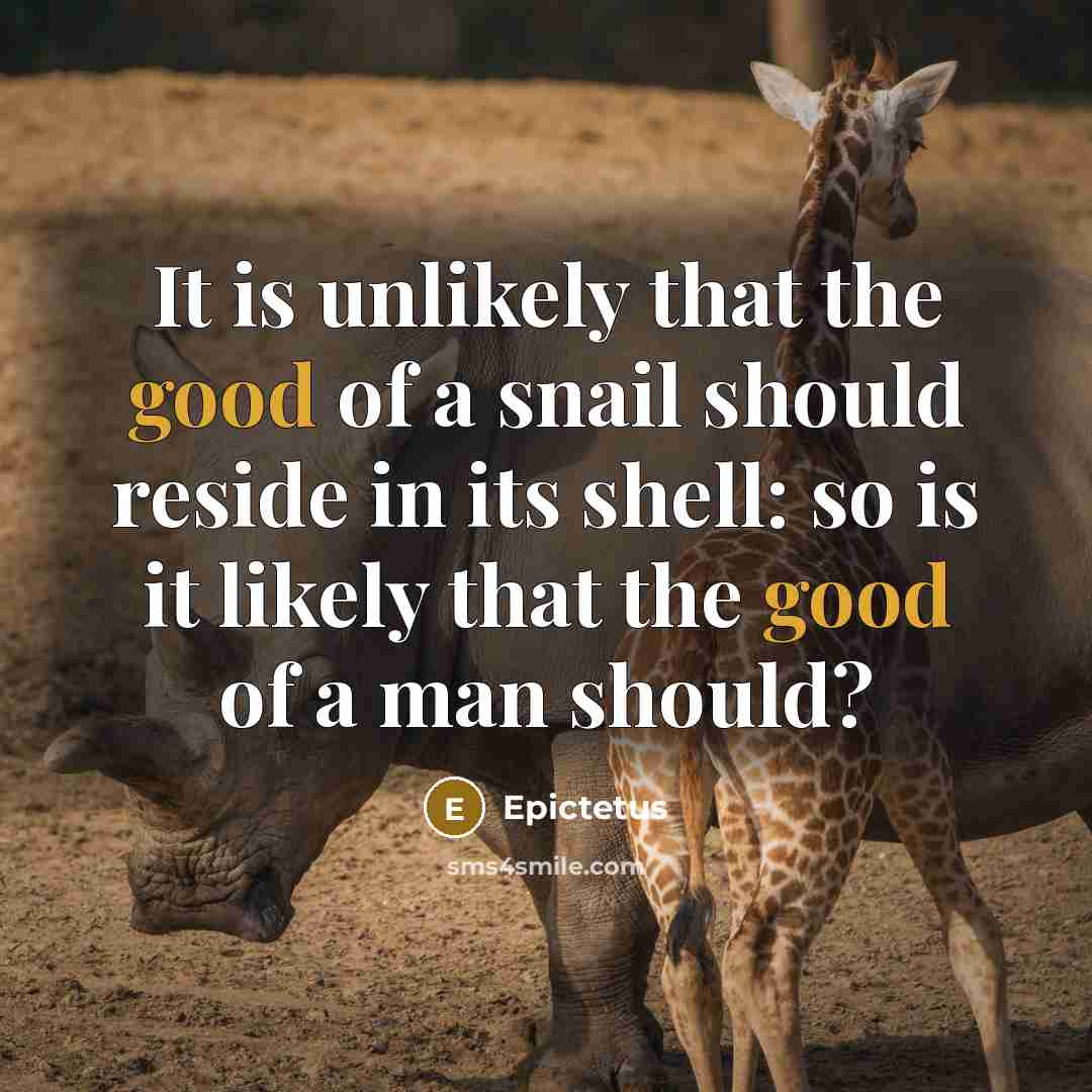 “It is unlikely that the good of a snail should…” quote by Epictetus