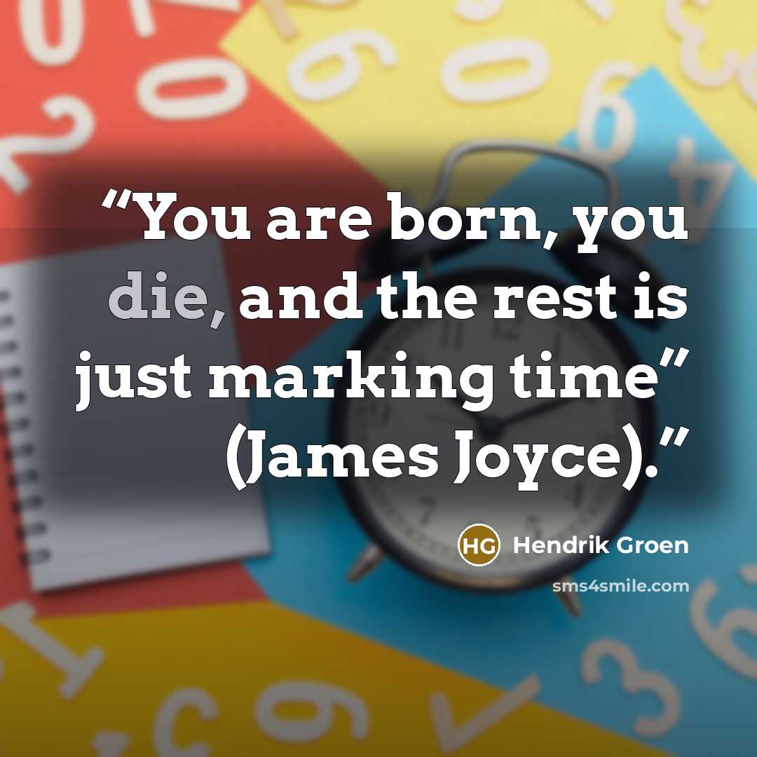 “You are born, you die, and the rest is just marking time” (James Joyce).” quote by Hendrik Groen