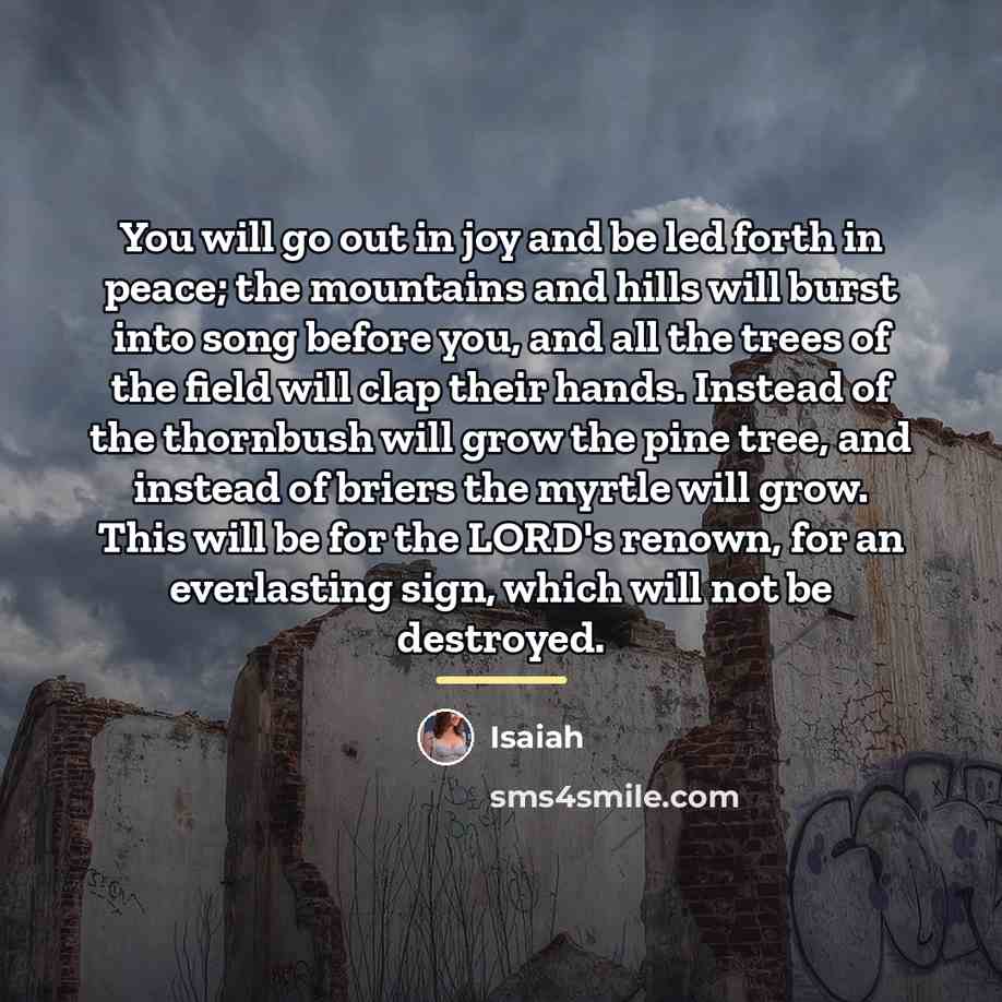 “You will go out in joy and be led forth…” quote by Isaiah