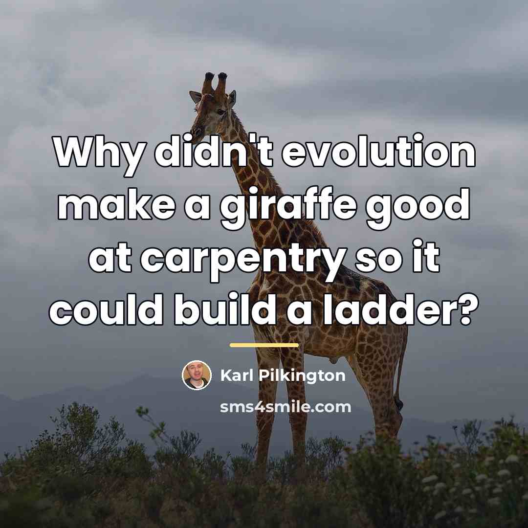 “Why didn't evolution make a giraffe good at carpentry so…” quote by Karl Pilkington