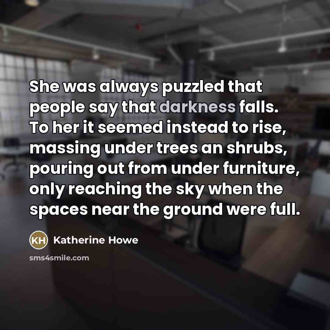 “She was always puzzled that people say that darkness falls.…” quote by Katherine Howe