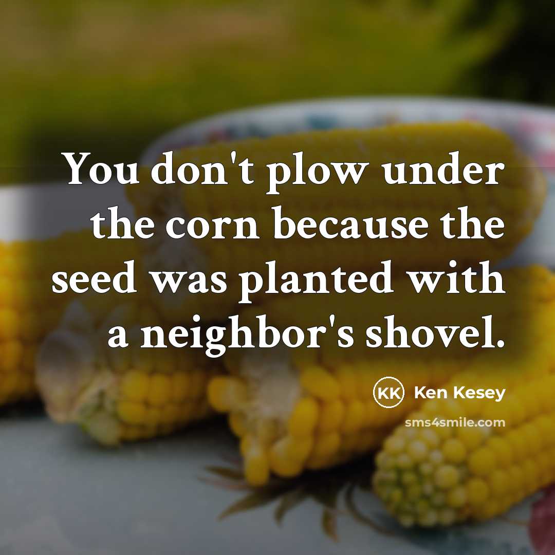 “You don't plow under the corn because the seed was…” quote by Ken Kesey