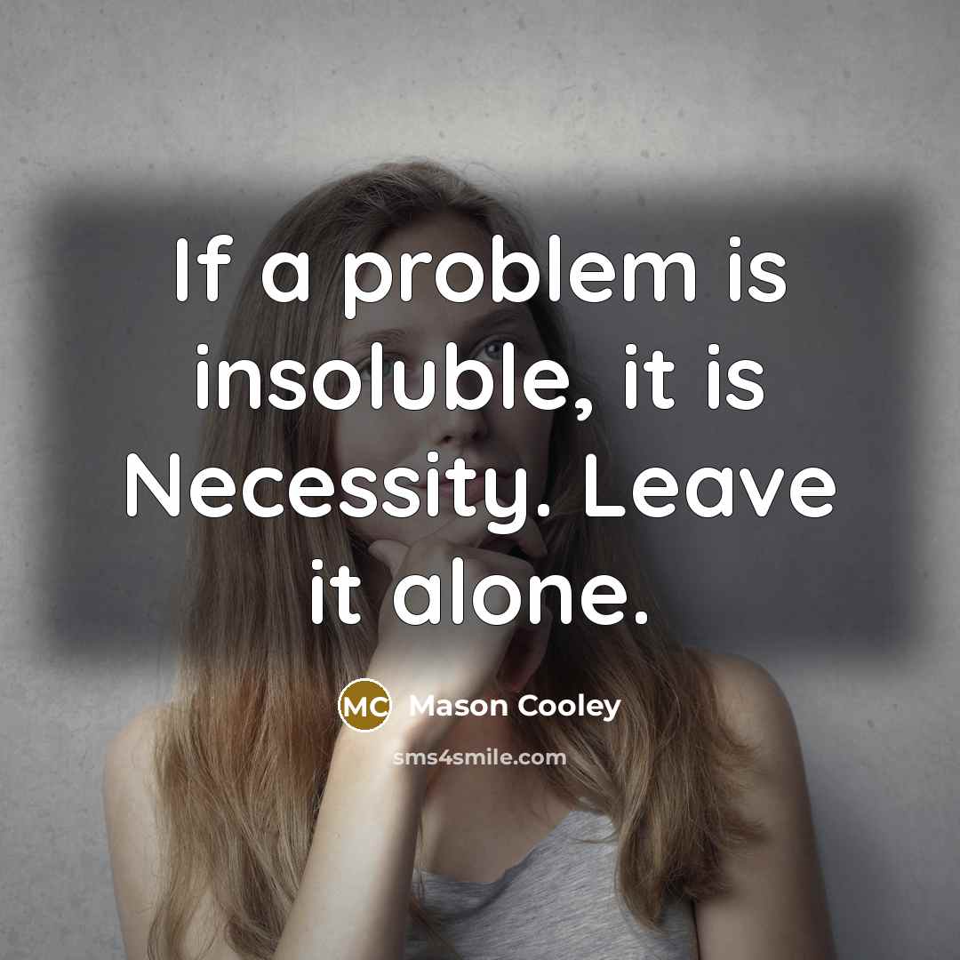 “If a problem is insoluble, it is Necessity. Leave it alone.” quote by Mason Cooley