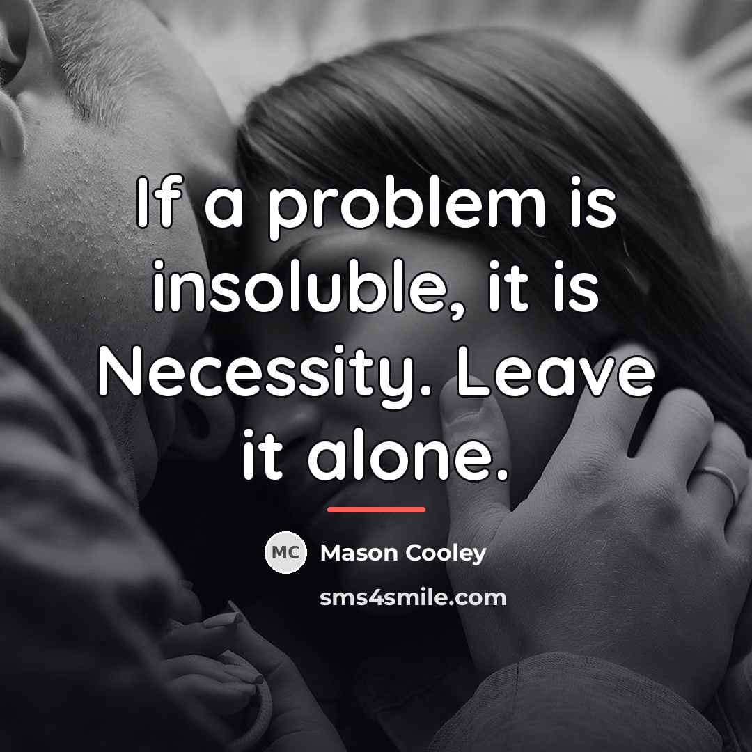 “If a problem is insoluble, it is Necessity. Leave it…” quote by Mason Cooley