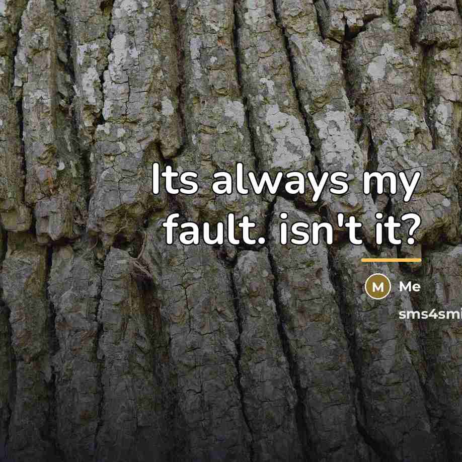“Its always my fault. isn't it?…” quote by Me