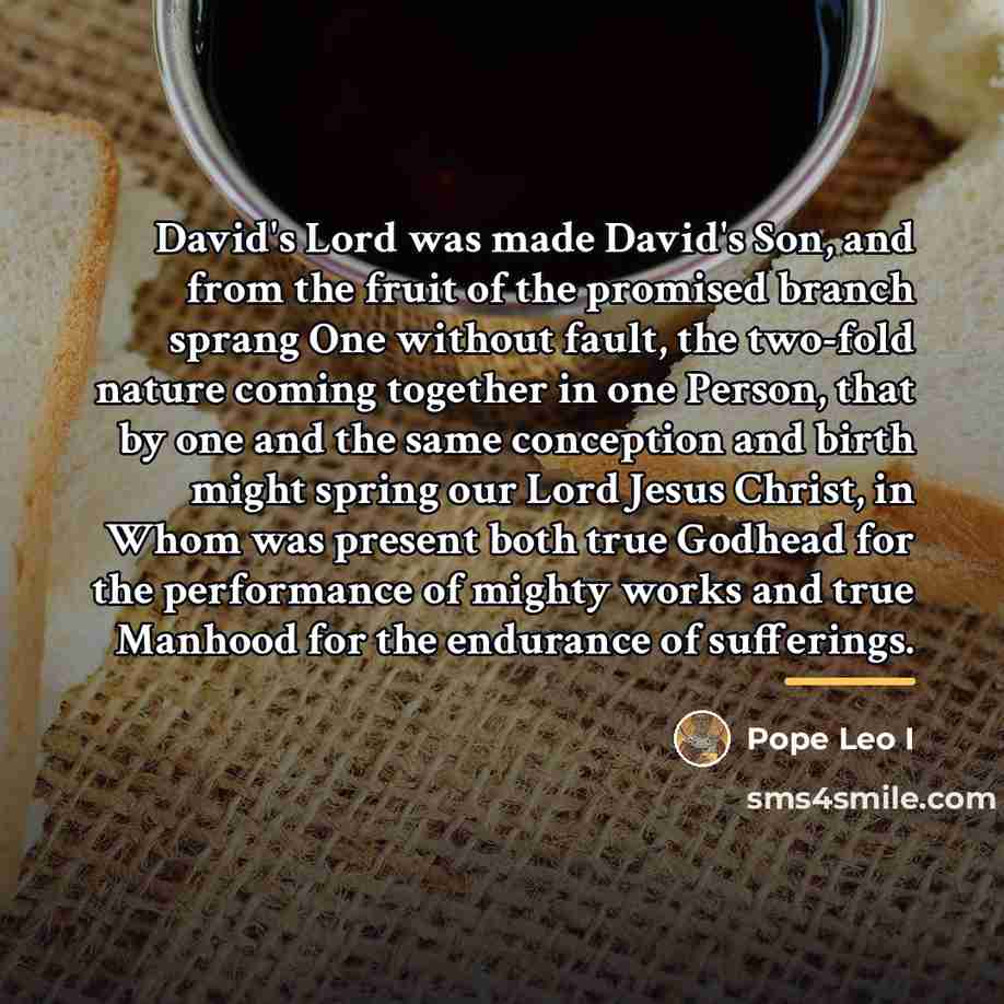 “David's Lord was made David's Son, and from the fruit…” quote by Pope Leo I