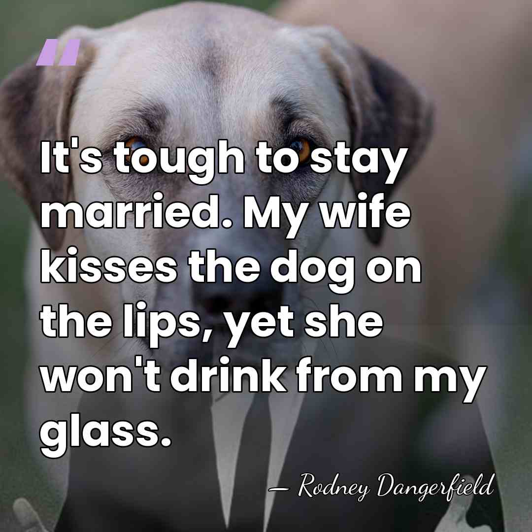 It's tough to stay married. My wife kisses the dog on the&hellip; - Rodney Dangerfield