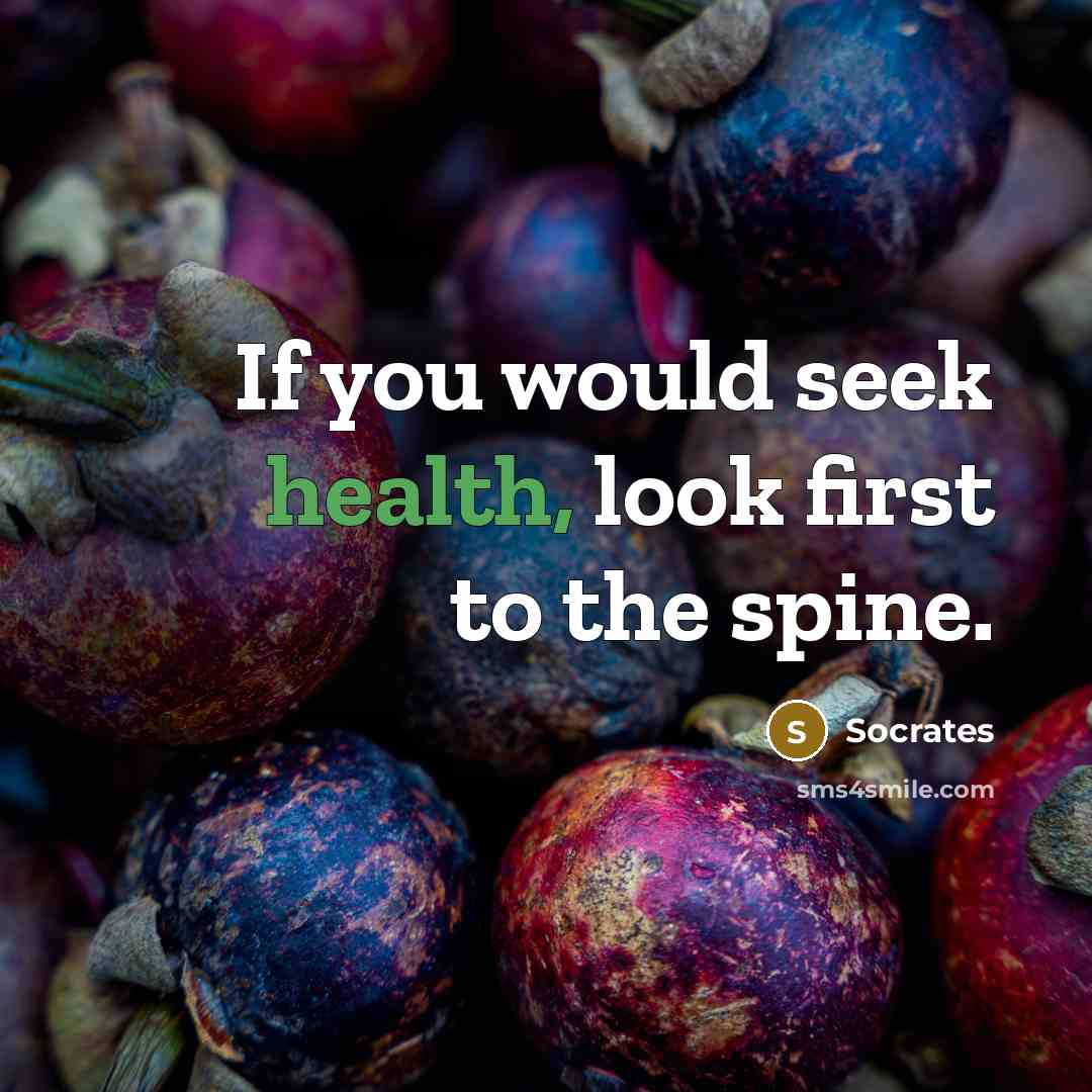 “If you would seek health, look first to the spine.…” quote by Socrates