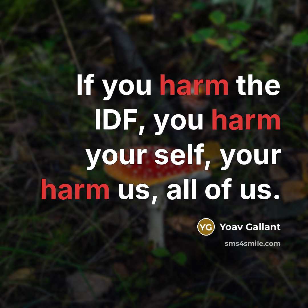 “If you harm the IDF, you harm your self, your…” quote by Yoav Gallant