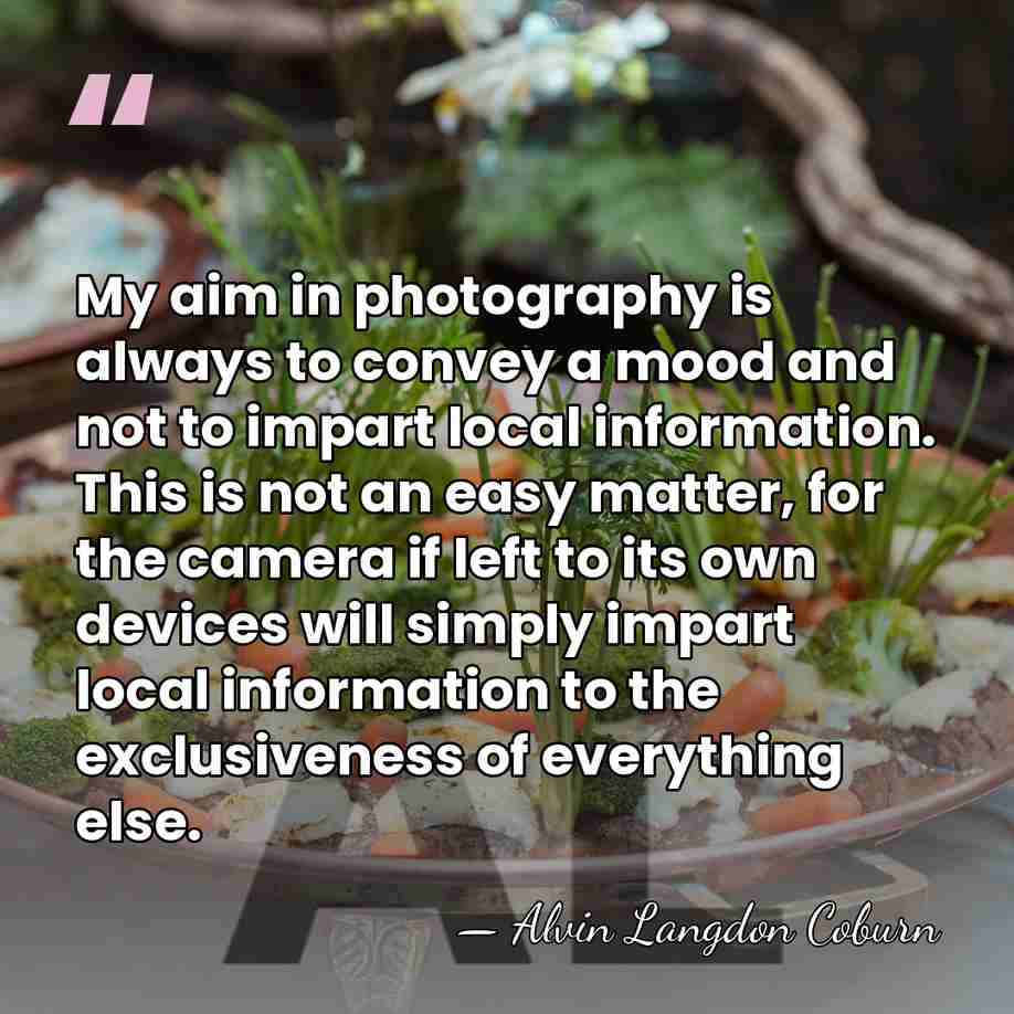 My aim in photography is always to convey a mood and not&hellip; - Alvin Langdon Coburn
