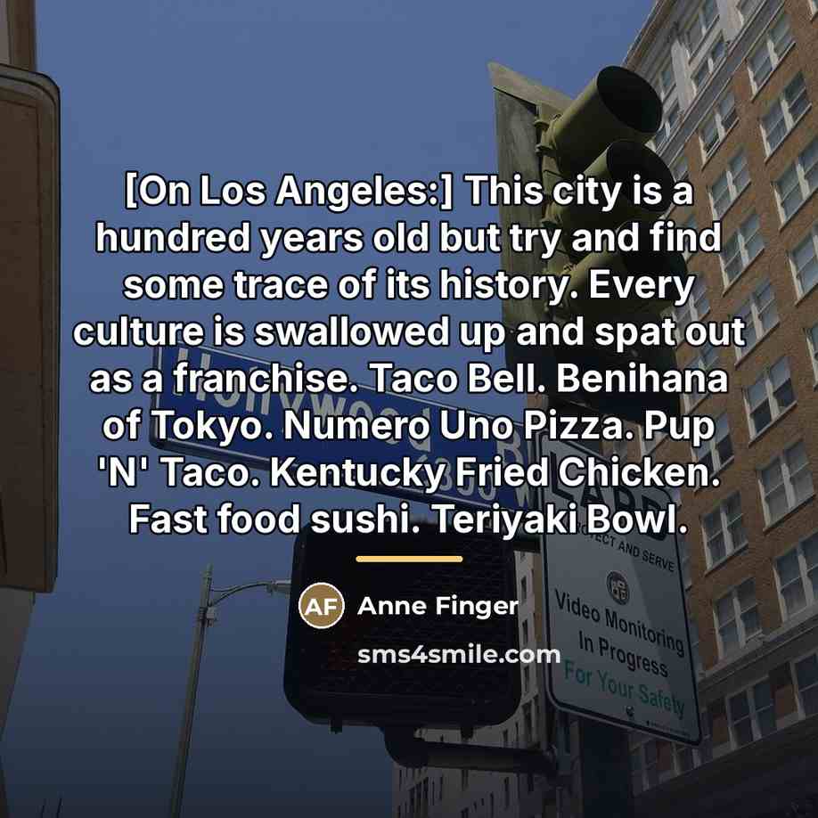 “[On Los Angeles:] This city is a hundred years old…” quote by Anne Finger
