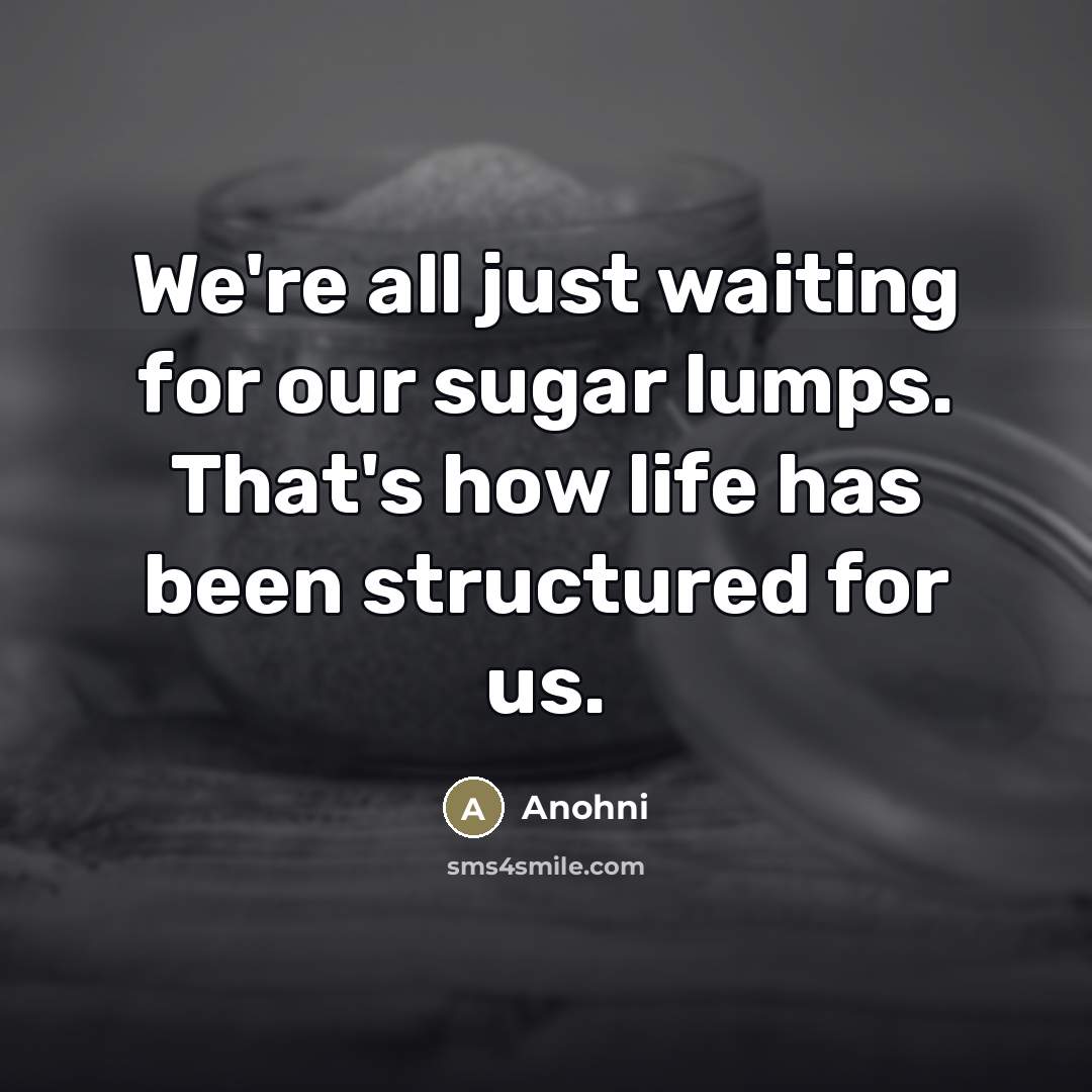 “We're all just waiting for our sugar lumps. That's how…” quote by Anohni