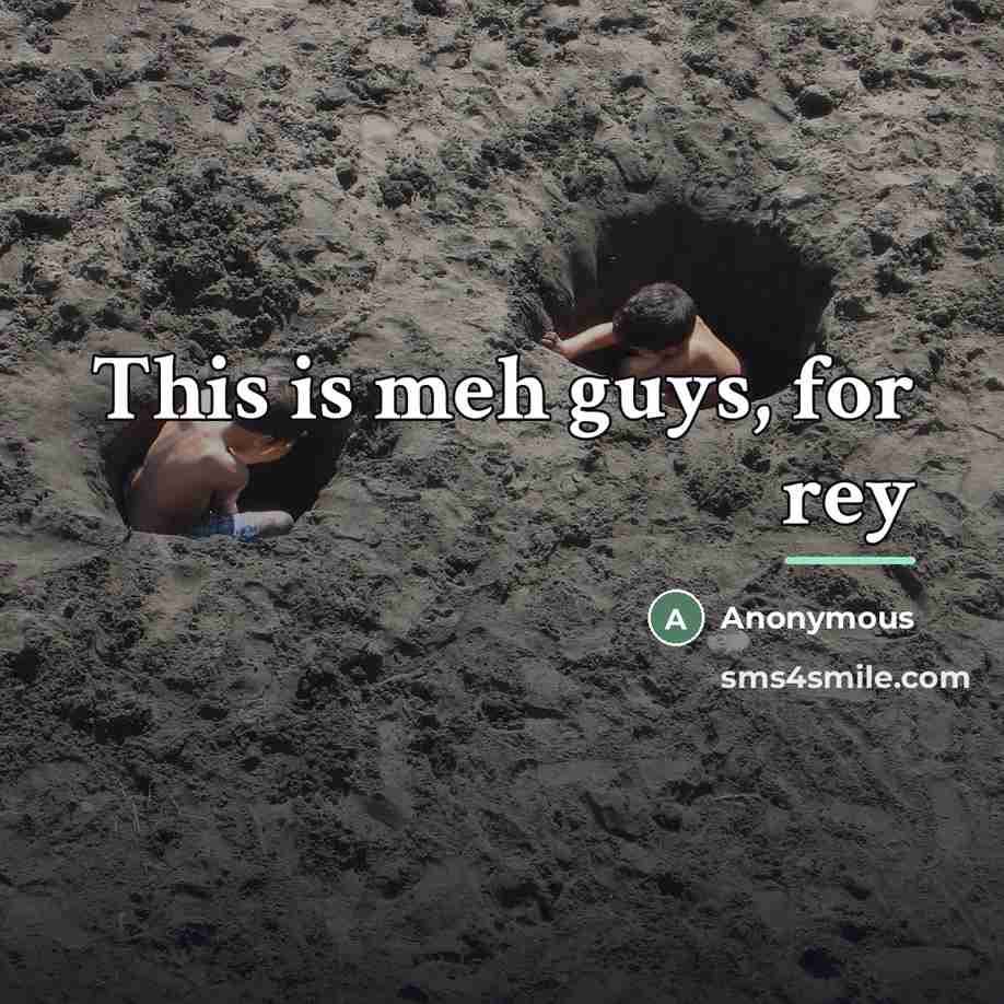 “This is meh guys, for rey…” quote by Anonymous