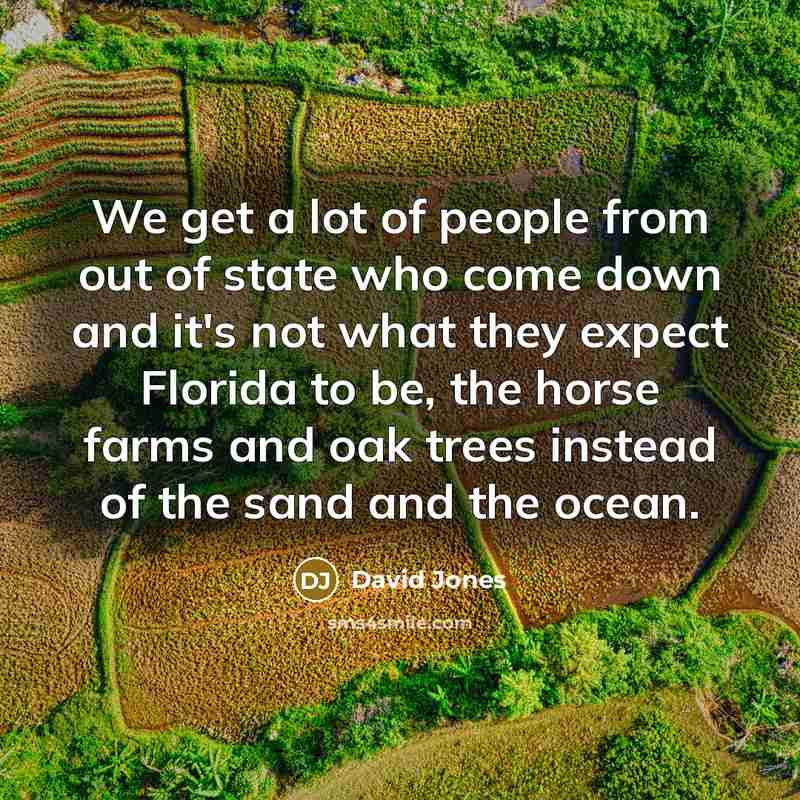 “We get a lot of people from out of state…” quote by David Jones