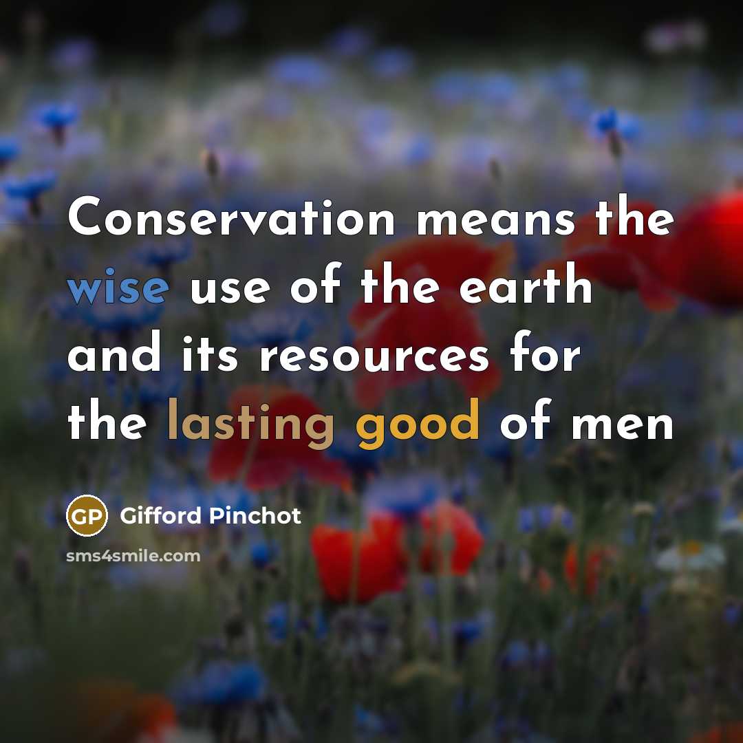 “Conservation means the wise use of the earth and its…” quote by Gifford Pinchot