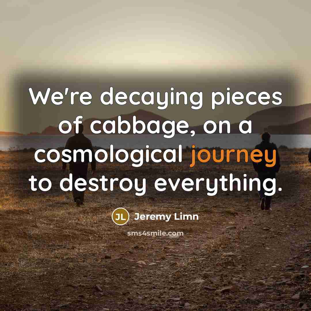 “We're decaying pieces of cabbage, on a cosmological journey to…” quote by Jeremy Limn
