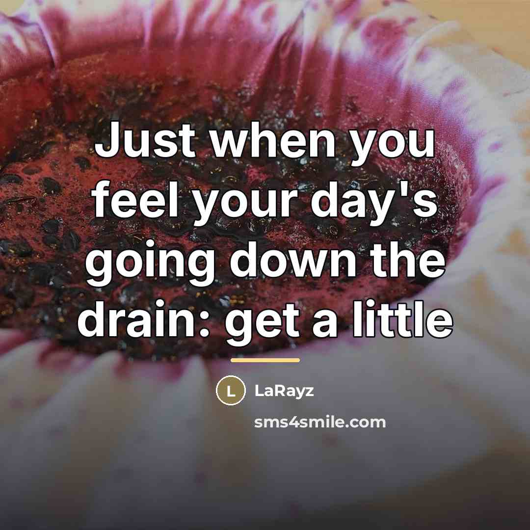 “Just when you feel your day's going down the drain:…” quote by LaRayz