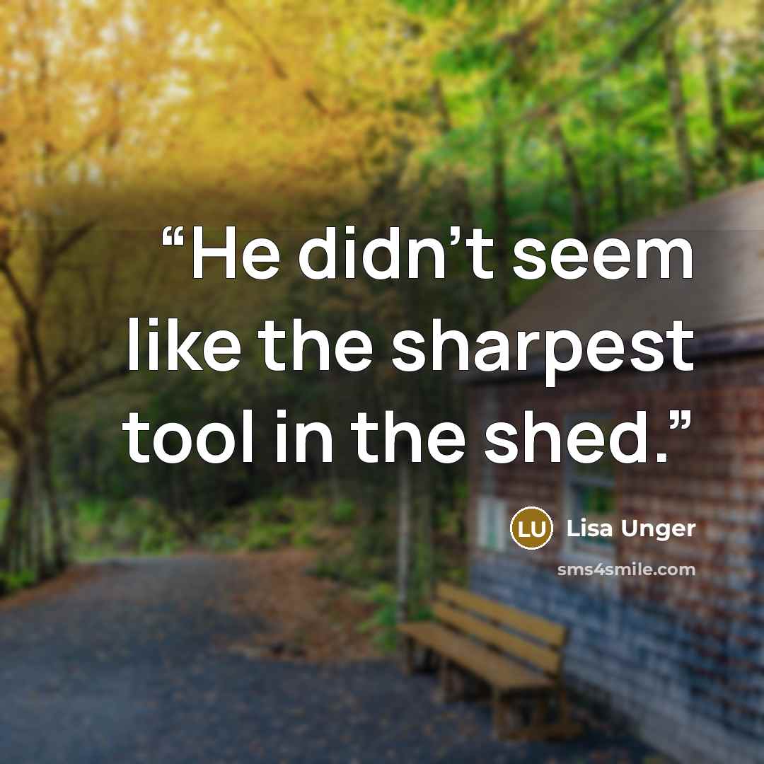 “He didn’t seem like the sharpest tool in the shed.” quote by Lisa Unger