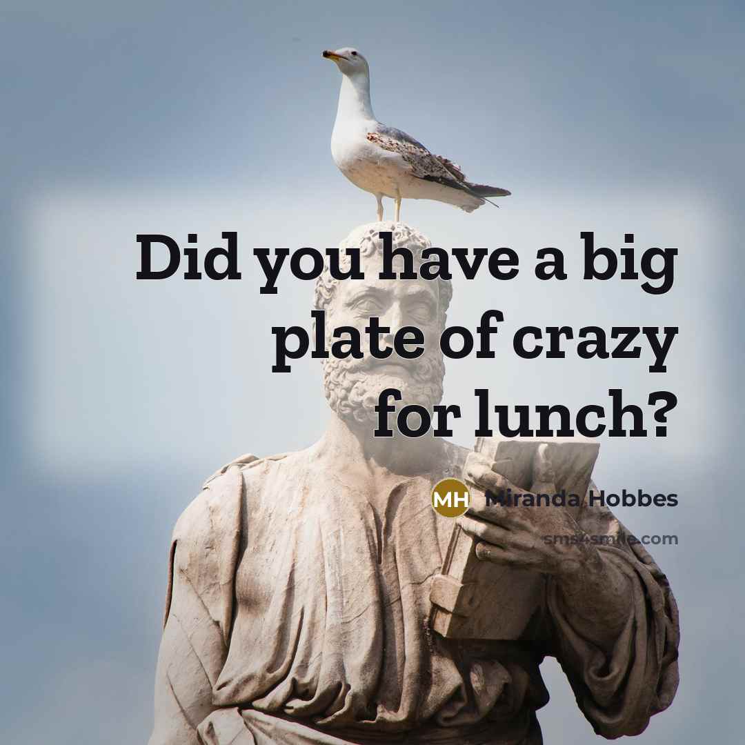 “Did you have a big plate of crazy for lunch?…” quote by Miranda Hobbes