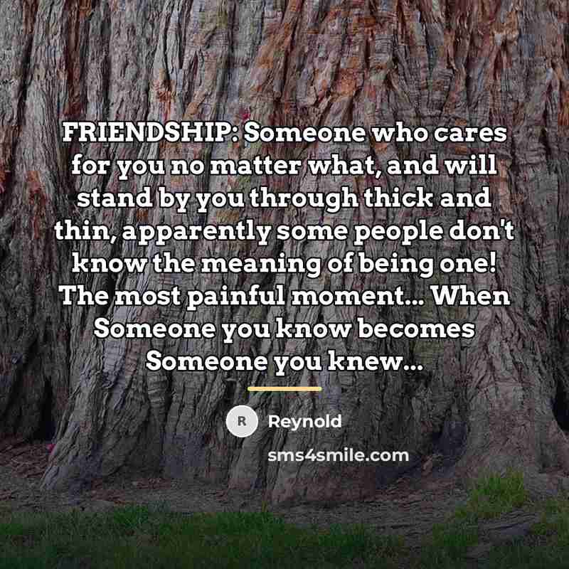 “FRIENDSHIP: Someone who cares for you no matter what, and…” quote by REYNOLD