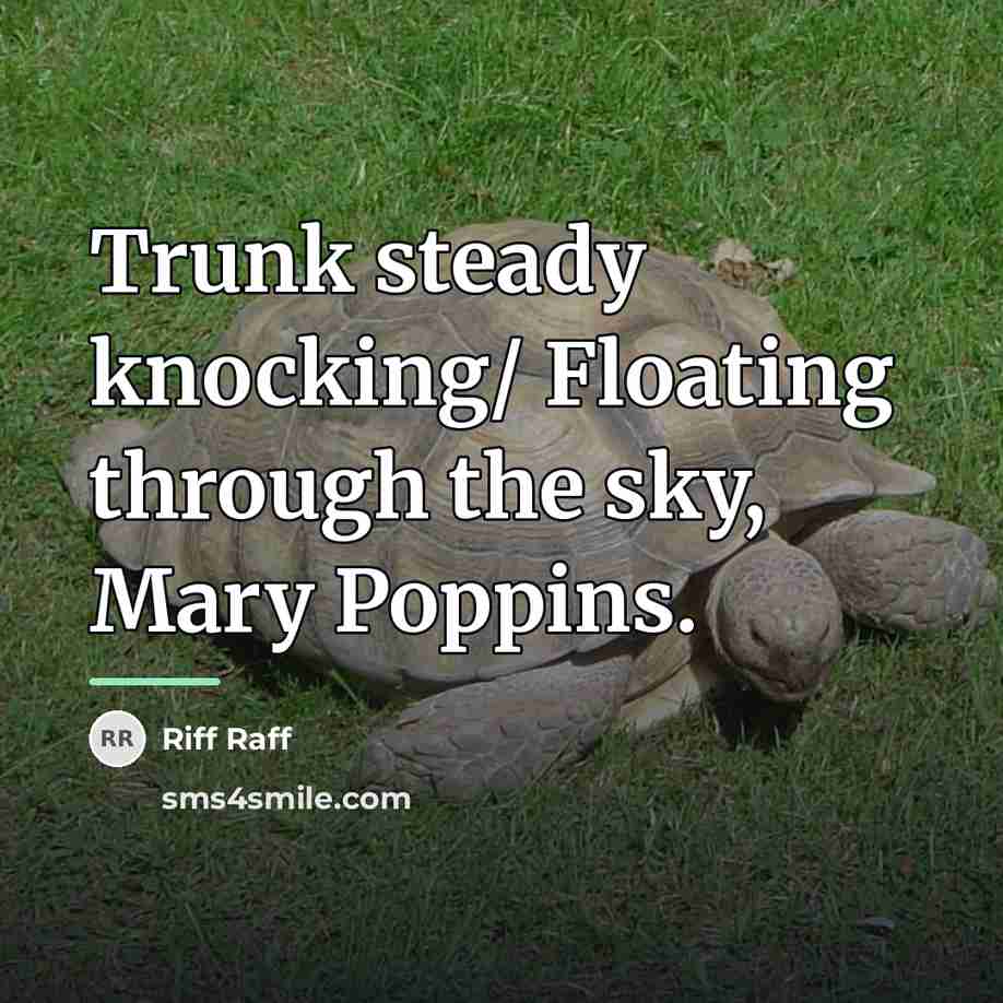 “Trunk steady knocking/ Floating through the sky, Mary Poppins.…” quote by Riff Raff
