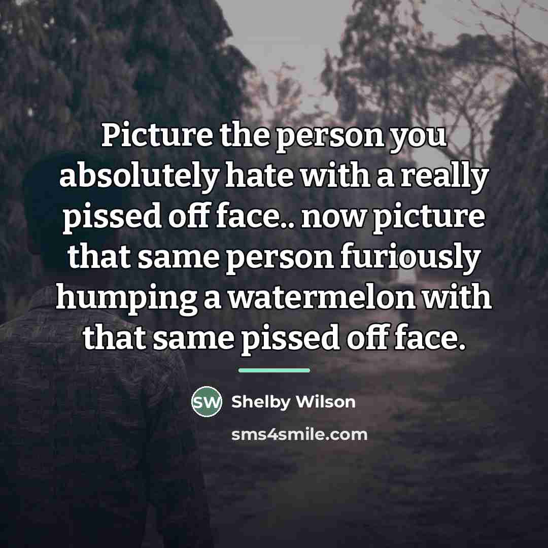 “Picture the person you absolutely hate with a really pissed…” quote by Shelby Wilson