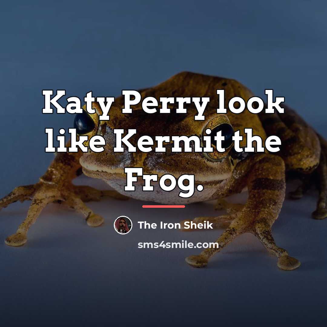 “Katy Perry look like Kermit the Frog.…” quote by The Iron Sheik