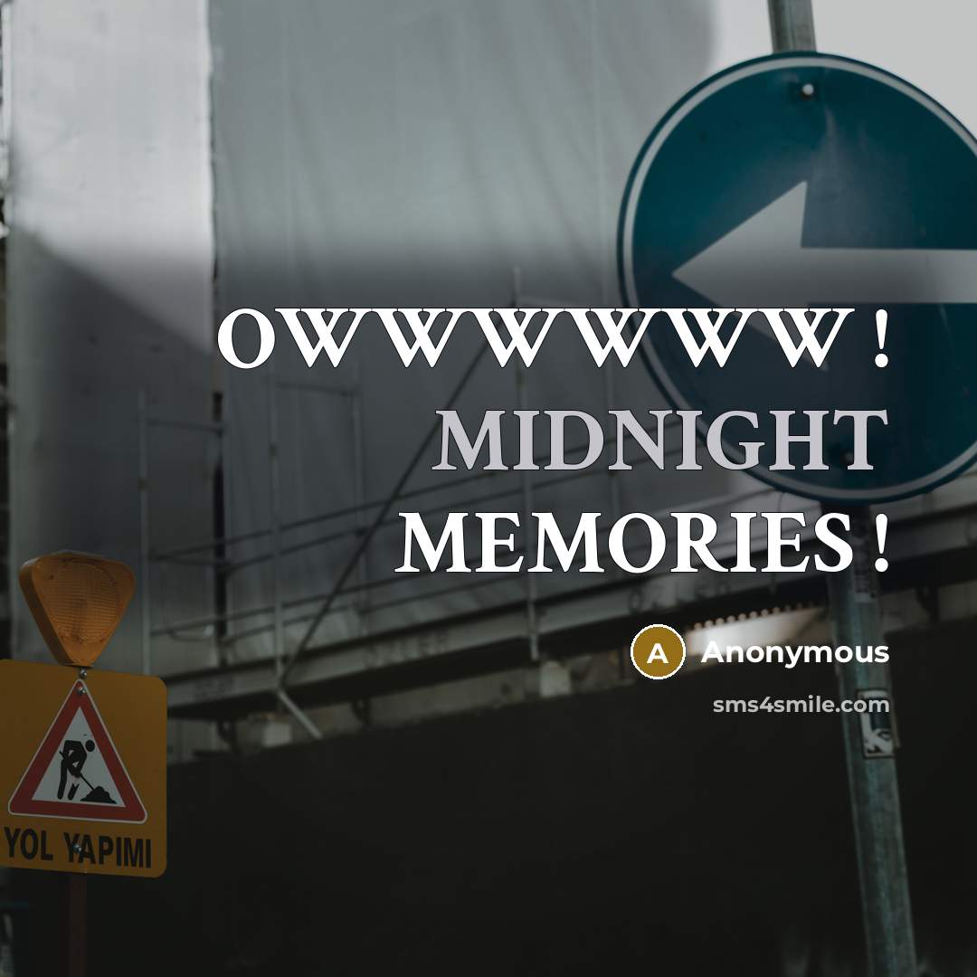 “OWWWWWW ! MIDNIGHT MEMORIES !” quote by Anonymous
