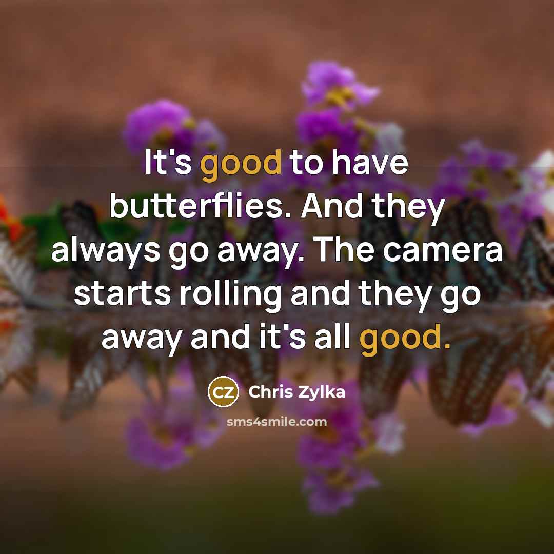 “It's good to have butterflies. And they always go away.…” quote by Chris Zylka