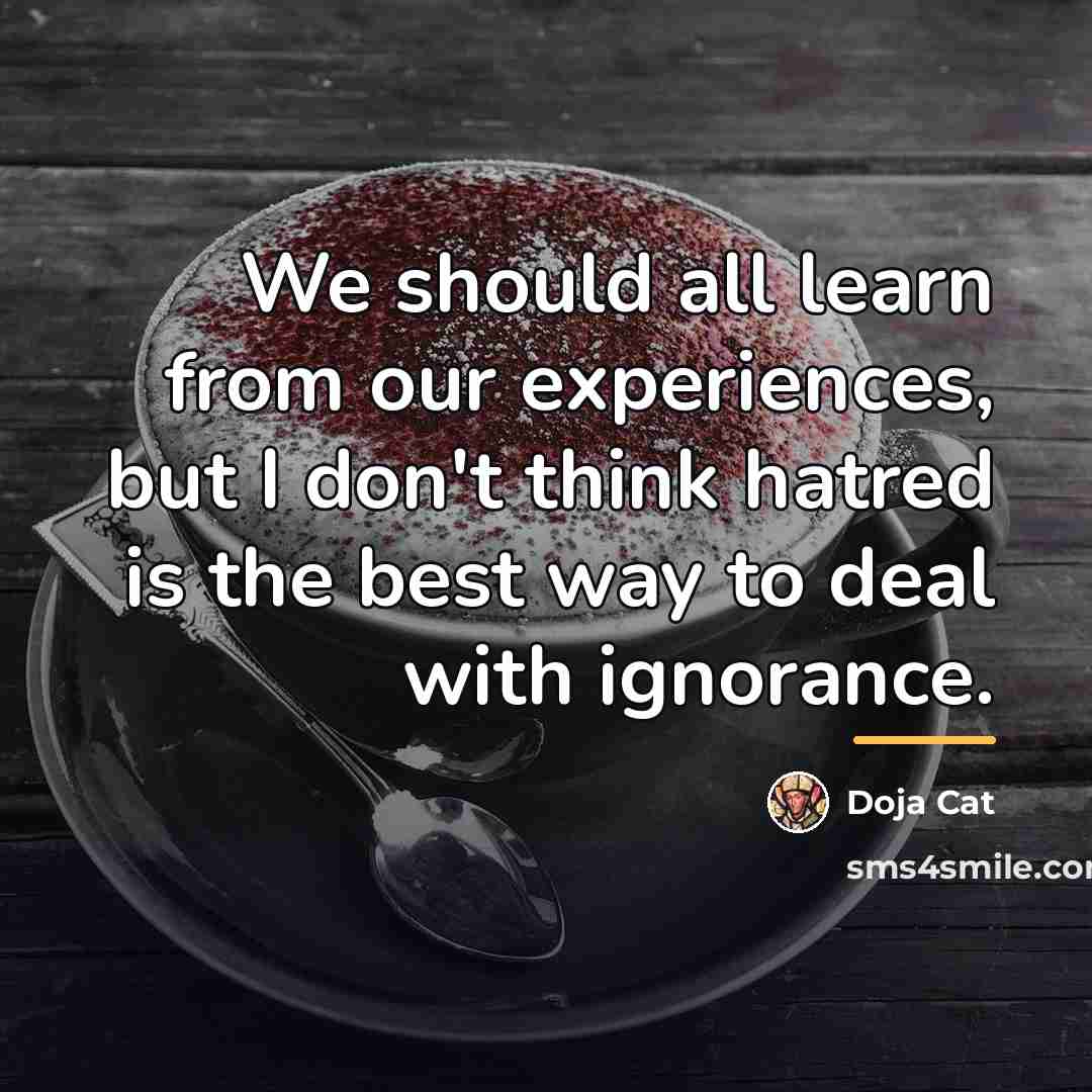 “We should all learn from our experiences, but I don't…” quote by Doja Cat