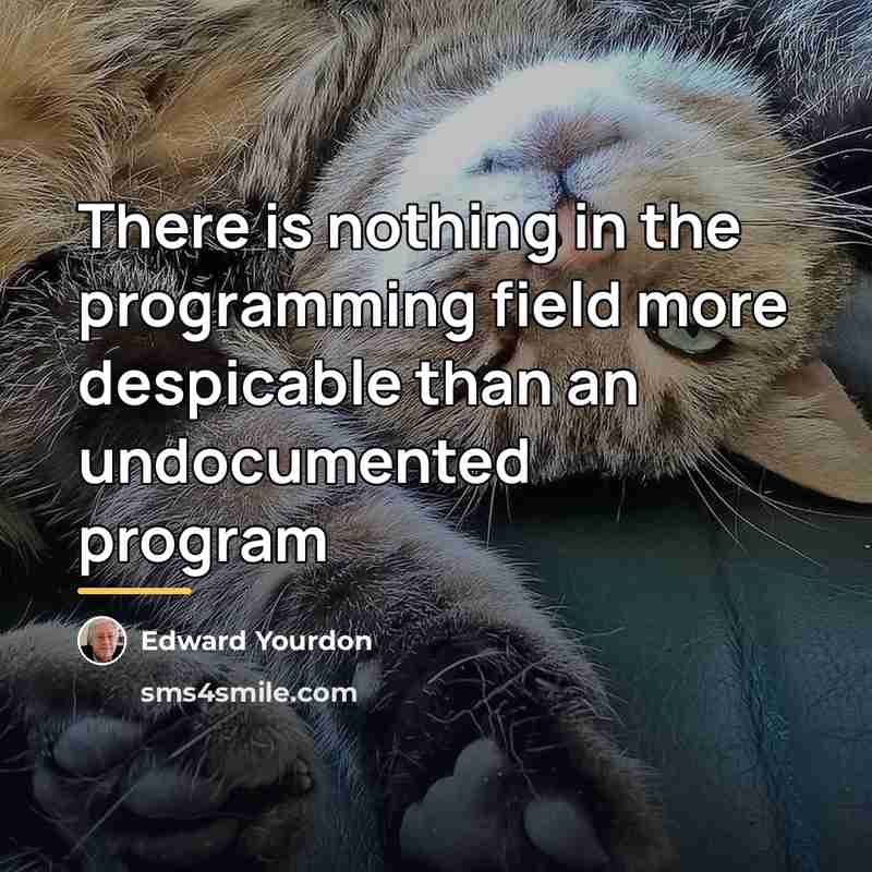 “There is nothing in the programming field more despicable than…” quote by Edward Yourdon