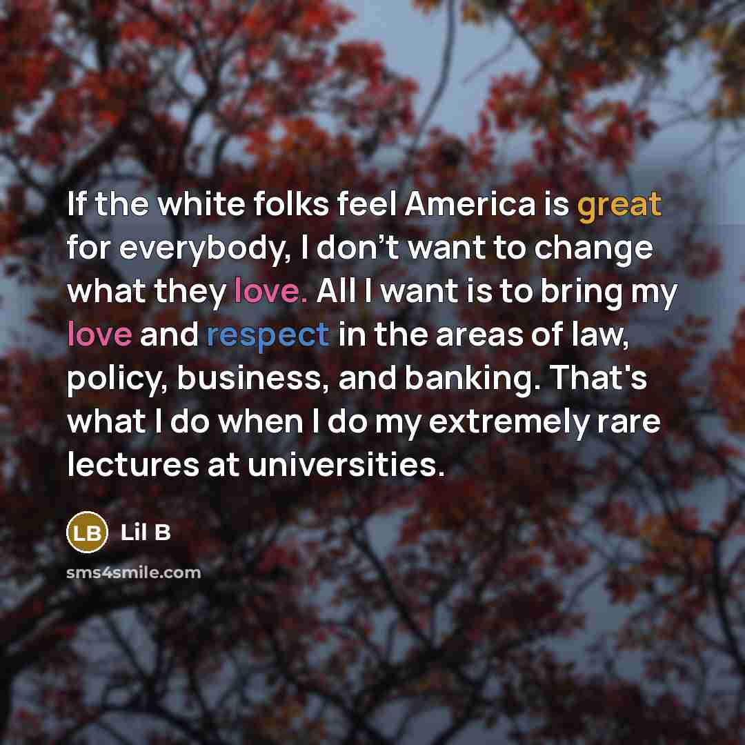 “If the white folks feel America is great for everybody,…” quote by Lil B