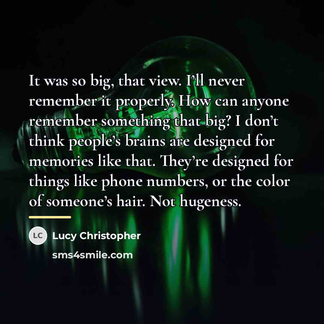 “It was so big, that view. I’ll never remember it…” quote by Lucy Christopher